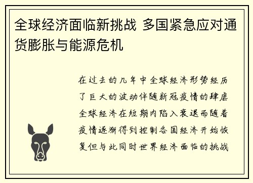 全球经济面临新挑战 多国紧急应对通货膨胀与能源危机